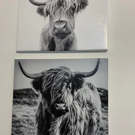 Zu Gast Bei Freunden アパート *